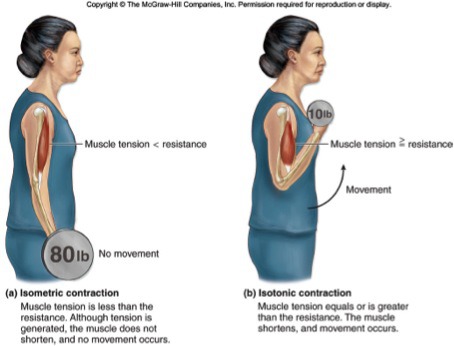 - action potential occur in _________________fashion.
- if threshold is reached, an action potential occurs.
- if threshold not reached, no action potential occurs.