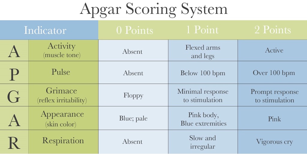 <p><strong>When is the APGAR score taken?</strong></p>