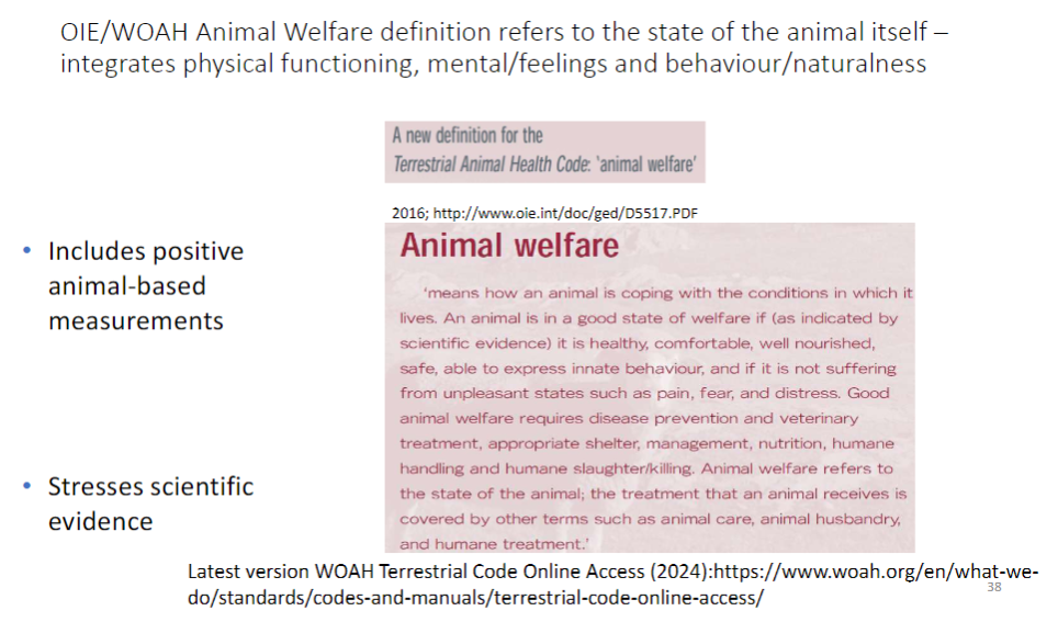 <p><strong>Definition</strong><br>āRefers to the <strong>state of the animal</strong> itself</p><p><strong>Integrated components</strong><br>ā<strong>Physical functioning</strong> ā health, growth, reproduction<br>ā<strong>Mental/feelings</strong> ā emotions, suffering, pleasure<br>ā<strong>Behaviour/naturalness</strong> ā ability to express normal behaviour</p><p><strong>Positive measurements</strong><br>āIncludes <strong>positive animal-based indicators</strong> of welfare</p><p><strong>Scientific emphasis</strong><br>āStresses use of <strong>scientific evidence</strong> to assess welfare</p>