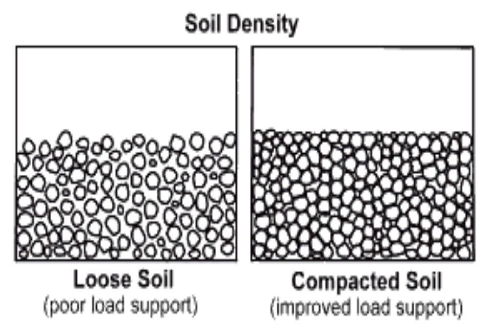 <p>the process by which sediments are pressed together under their own weight</p>