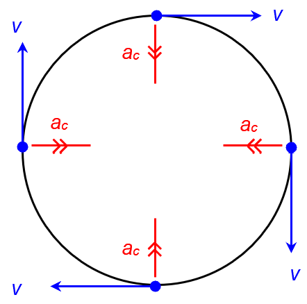 <p>The velocity is always tangent to the circle and the centripetal acceleration points towards the centre of the circle.</p>