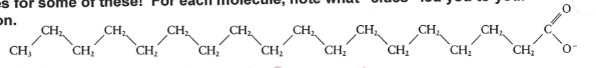 <p>Identify this molecule</p>