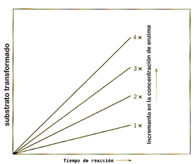 <p>Quina reació representa</p>