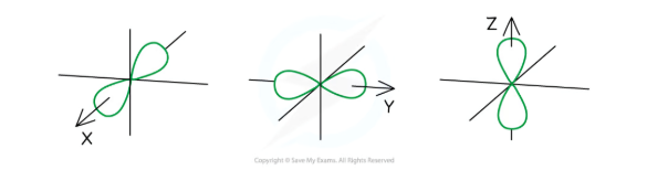 <ul><li><p>The p orbitals are <strong>dumbbell-shaped</strong></p></li><li><p>Every shell has three p orbitals except for the first one (<em>n</em> = 1)</p></li><li><p>The p orbitals occupy the x, y and z-axis and point at right angles to each other so are oriented <strong>perpendicular</strong> to one another</p></li><li><p>The lobes of the p orbitals become <strong>larger</strong> and <strong>longer</strong> with increasing shell number</p></li></ul><p></p>