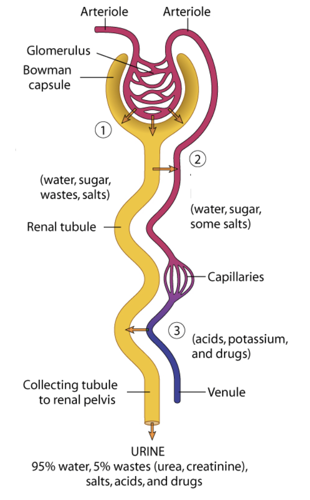 <p>What is number 1</p>