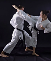 <p>martial arts </p>