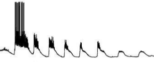 <p>This is an example of what type of recording?</p>