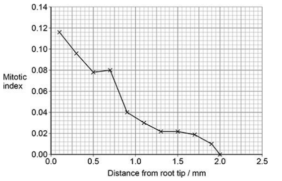 <p>What can you conclude about the effect that distance from the root tip has on the proportion of cells in different stages of the cell cycle? Use information in the graph above. (3) </p>
