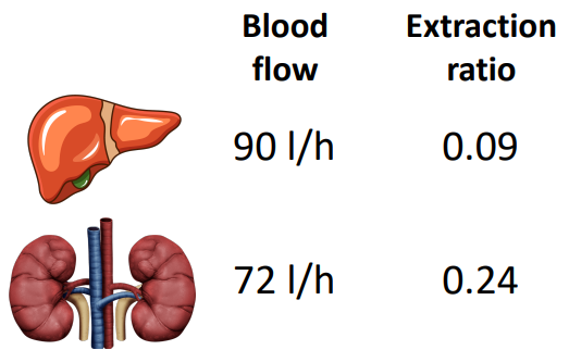 <p>Based on the following information, what is CI<sub>H</sub>, CI<sub>R</sub>, and total body clearance?</p>