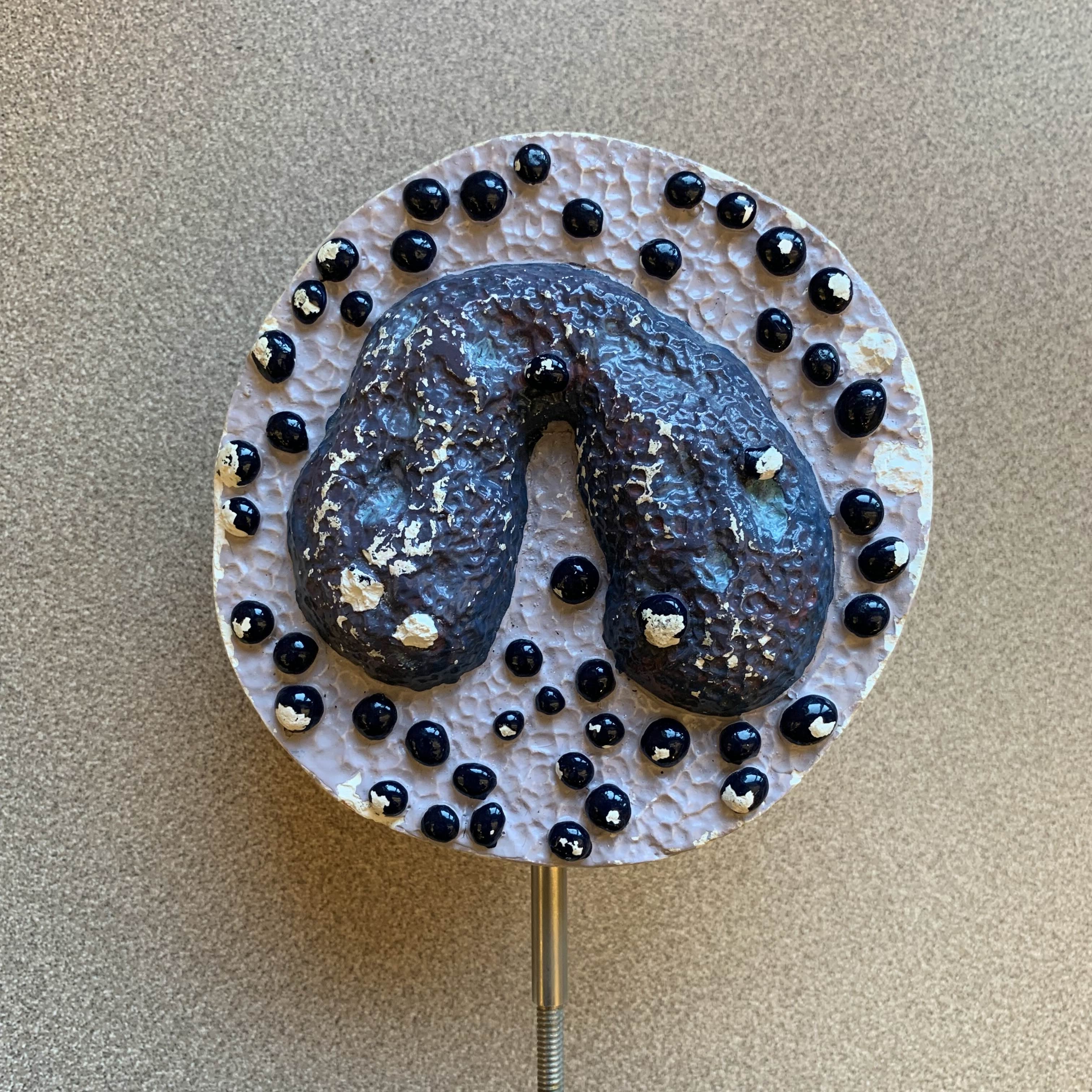 <p>Which type of WBC (leukocytes):</p><p>__ - (0.5-1%) big, dark granules. Nuclei large and different shaped.</p><p>→ Heparin production, Myeloid leukemia</p>