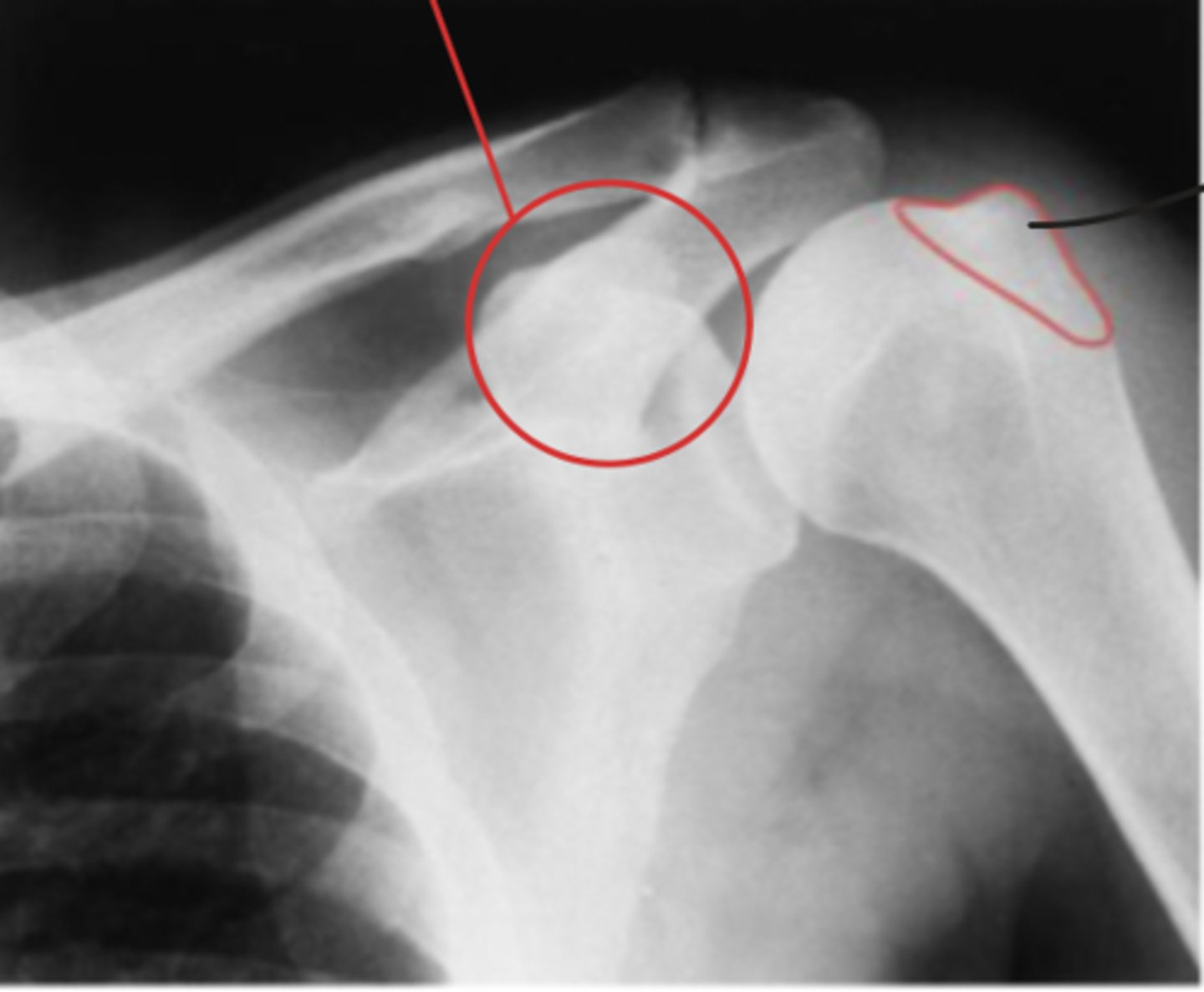 <p>What view is this?</p>