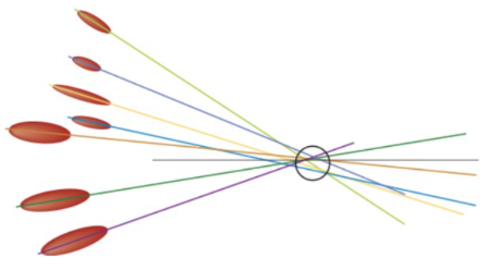 <p>Lines are drawn through the long axes of the spatter and opposite the direction of travel</p><p>Note where the lines intersect</p>