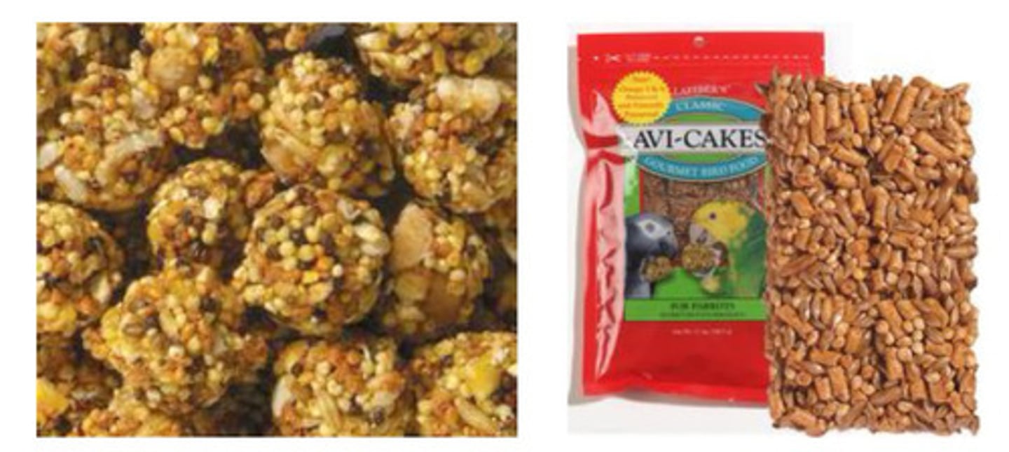 <p>What are good seed choices?</p>