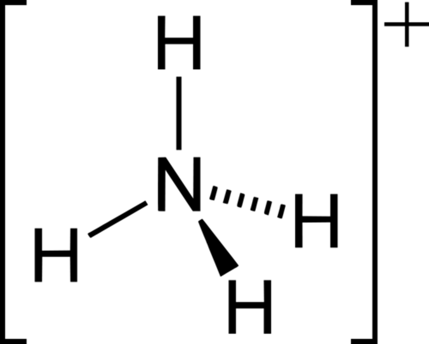 <p>NH4+</p>