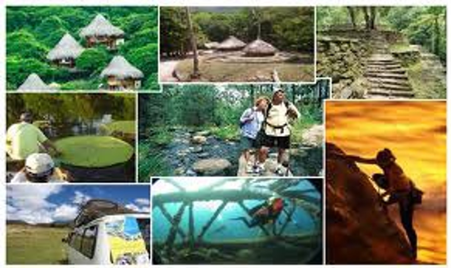 <p>turismo que respeta la naturaleza y el medio ambiente</p>