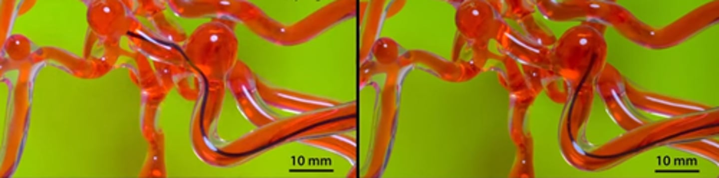 <p>The image on the left is coated with hydrogel</p>