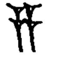 term image
