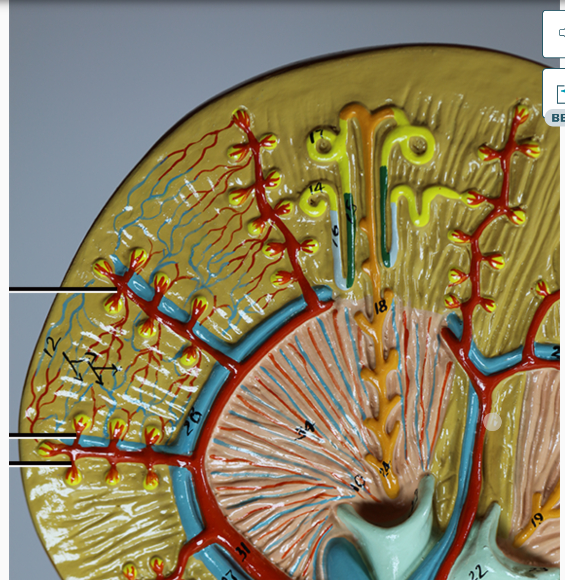term image