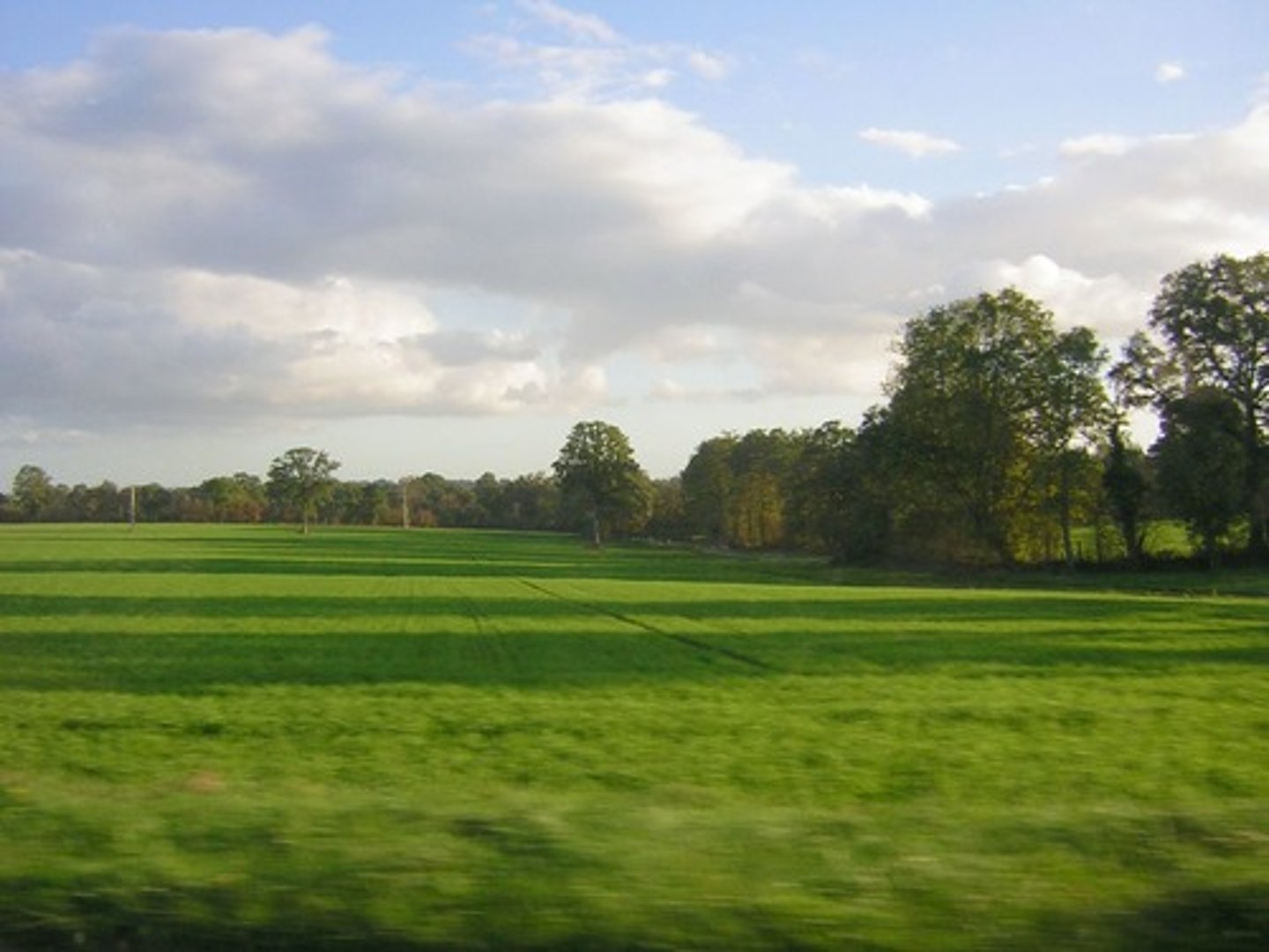 <p>french land measurement: 2.4 acres</p>