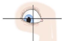 <p>depression and abduction with medial rotation</p><p>-looks down and out, opposite of where it’s located</p><p>-CN IV</p>