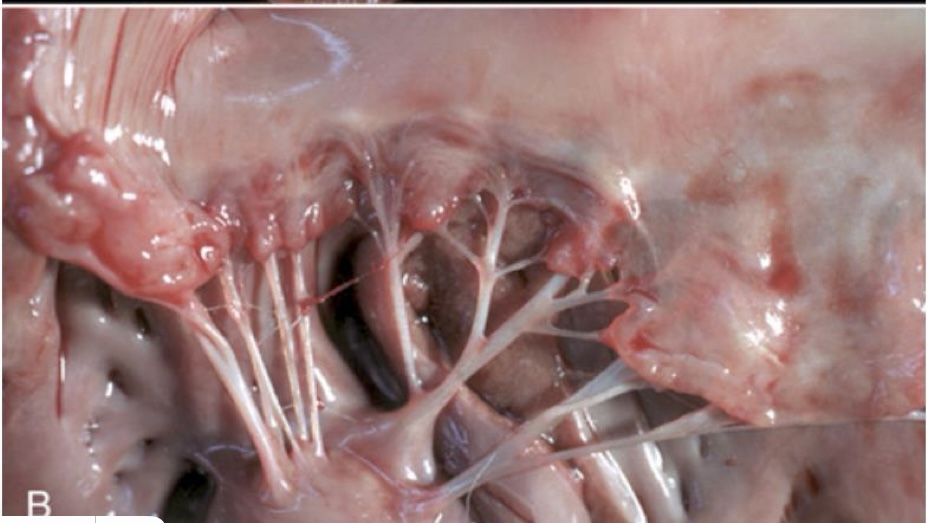 <p>what is this showing?</p>