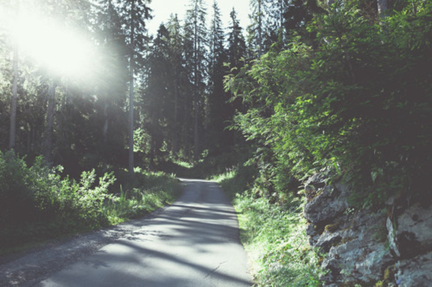 <p>der Vormittag, die Vormittage</p>