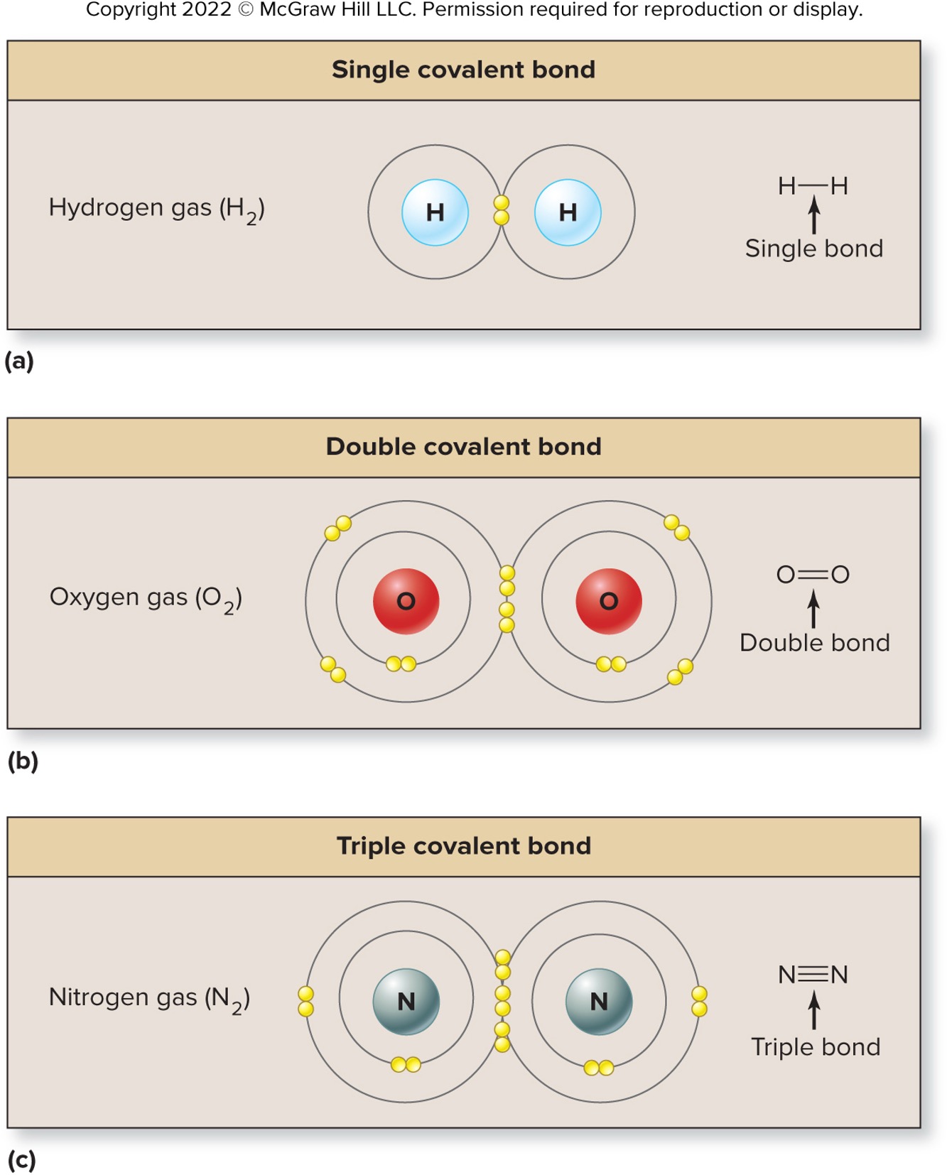 single, double, triple covalent bonds