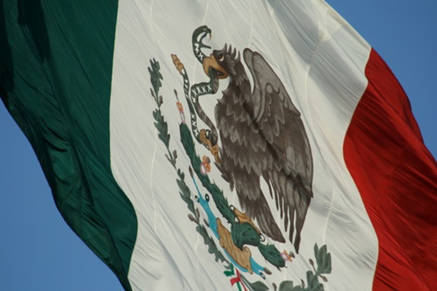 <p>flag</p>