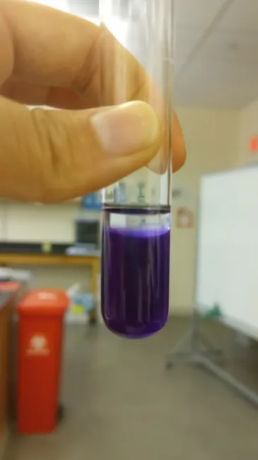 <ul><li><p><strong>Color:</strong> Purple/Violet</p></li><li><p><strong>pH:</strong> Basic</p></li></ul><p><strong>*COVER OIL & HOLD UP TO LIGHT!</strong></p><p></p><p><strong>Explanation: T</strong>his bacteria produces decarboxylase to remove carboxyl group from amino acid. Amino acid becomes a basic amine, making the medium basic.</p>