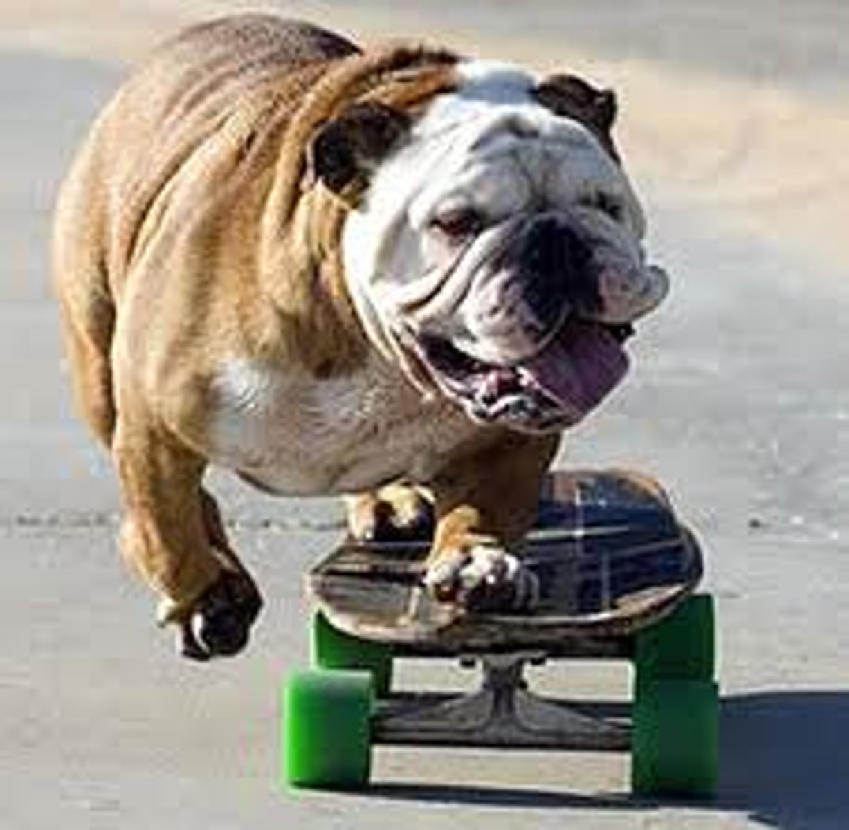 <p>to ride a skateboard</p>
