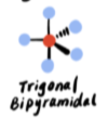 <p>Trigonal bipyramidal (90° and 120°)</p>