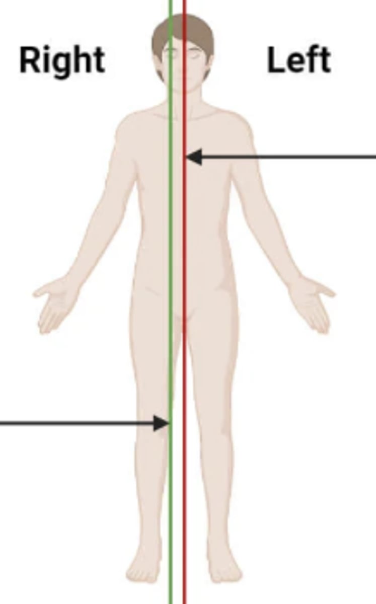 <p>divides body into left and right</p>
