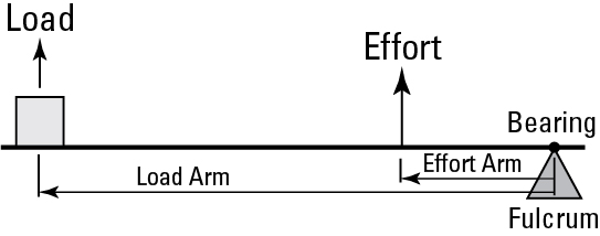 <p><span>What type of lever is depicted here?</span></p>