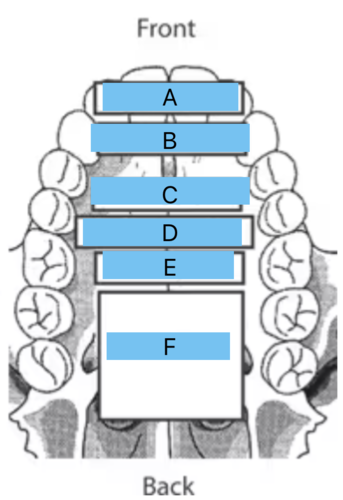 <p>Identify all the places of articulation from A to F</p>