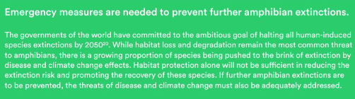 <p>Global and local initiatives (conservation)</p>