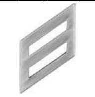 <p>Three diagonal bars (E3)</p>
