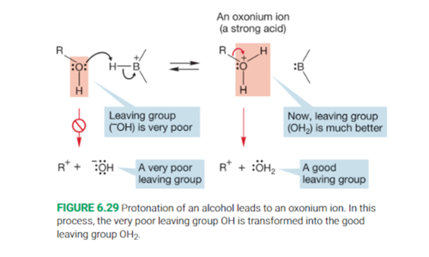 <p>Protonation converts an alcohol into an intermediate oxonium ion.</p><p>Without protonation, breaking the R-OH bond would be very difficult, because both positive R+ and negative OH- ions would have to be formed. Thus we saythat hydroxide is a poor leaving group and alcohols do not ionize easily.</p><p>After protonation however, the leavingn group is no longer hydroxide, but water, formation of the neutral molecule wawter is a much easier process</p>