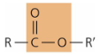 <p>functional group - ester</p>