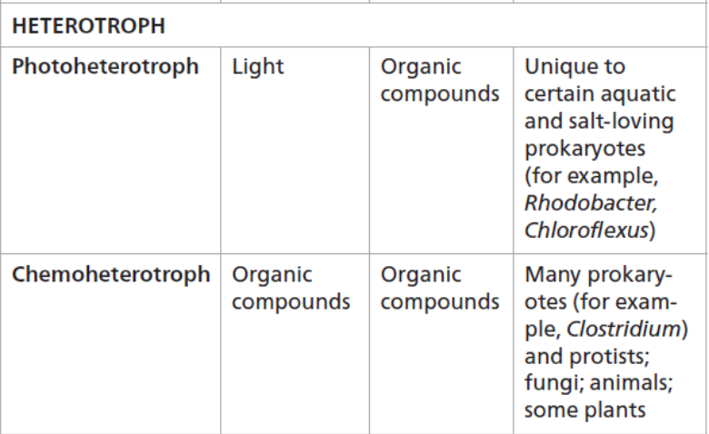 require at least one organic nutrient such as glucose to make other organic compounds
1. Photoheterotroph
2. Chemoheterotroph