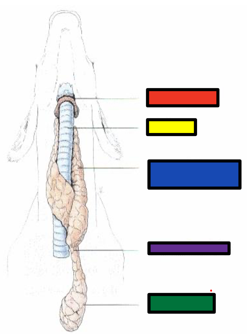 <p>What does the yellow box refer to?</p>