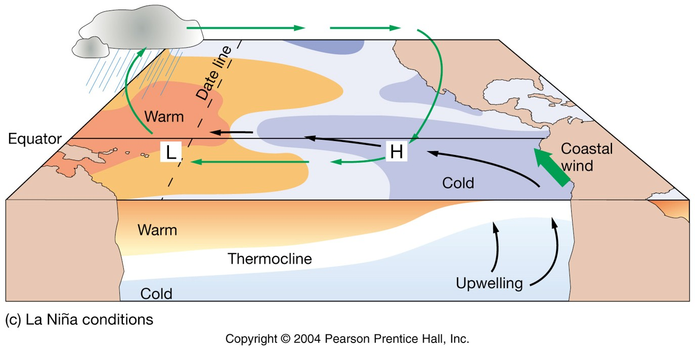<p>Which are true of La Nina conditions?</p>