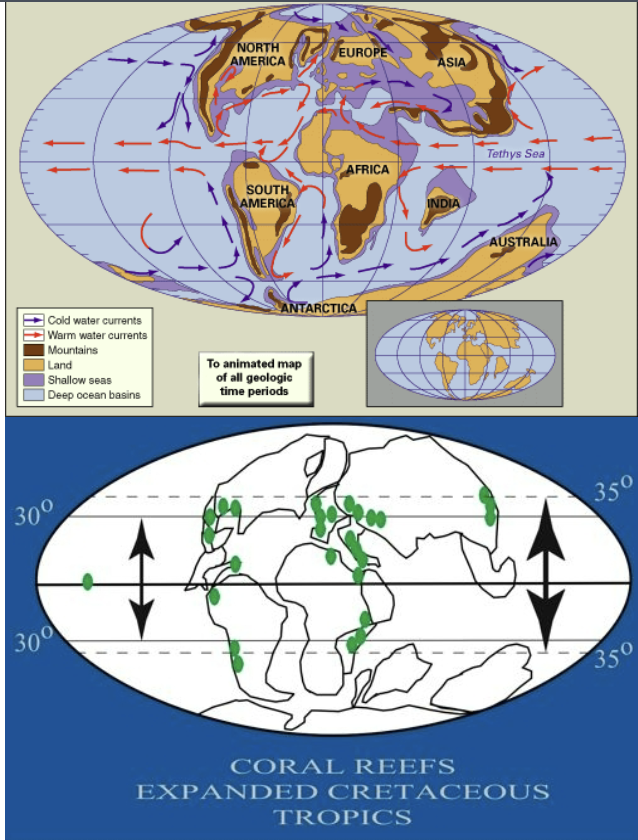 <p>Coral reefs may have extended to 35 degrees latitude (today to 30). Nearly circumglobal path for equatorial currents contributes to warmer ocean. System dominates by two very large gyres in Pacific/Tethys sea </p>