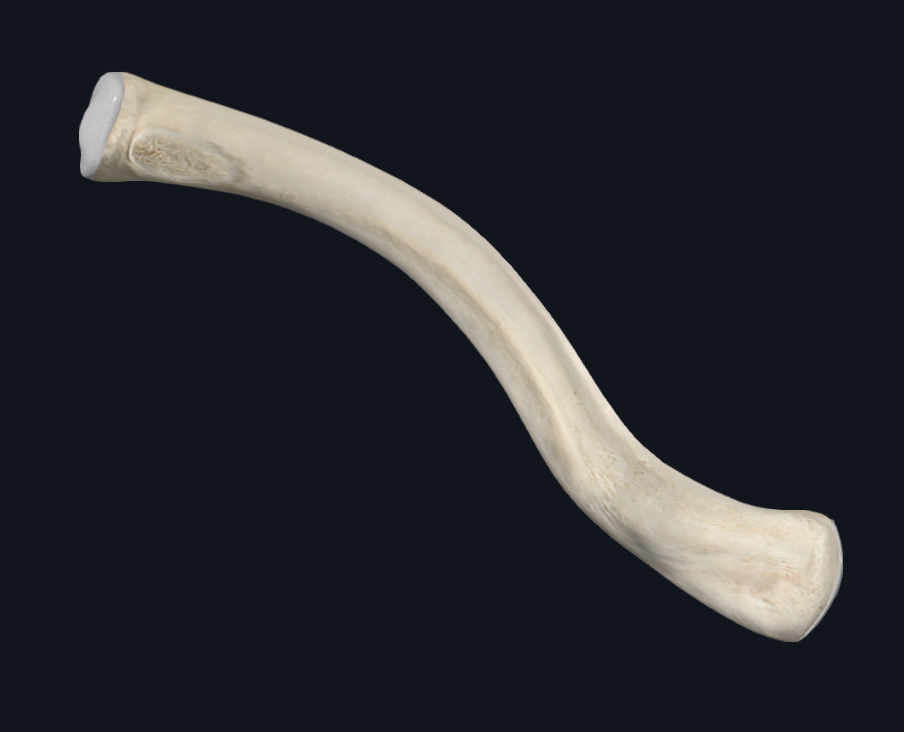 <p>Is this a left or right clavicle?</p>