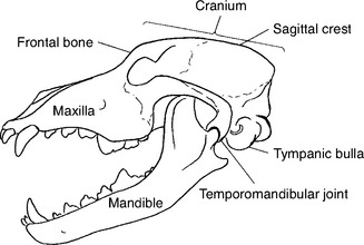 <p>What Type of Joint?</p>
