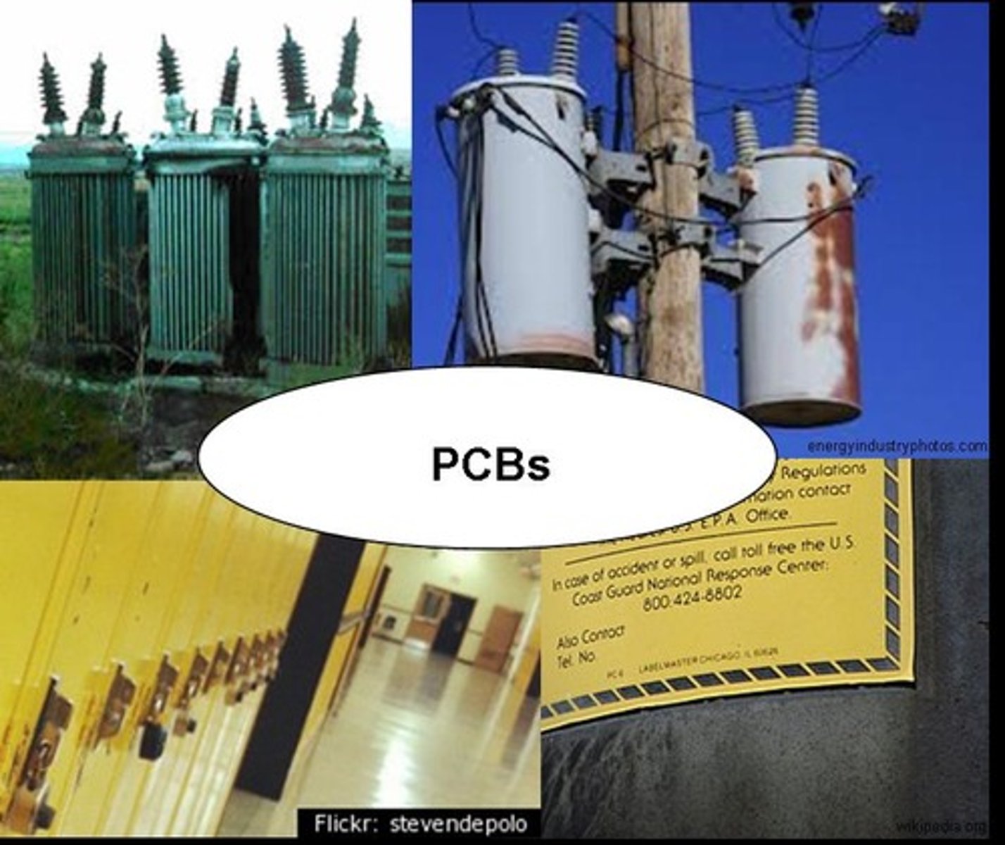 <p>A group of industrial compounds used to manufacture plastics and insulate electrical transformers, and responsible for many environmental problems.</p>