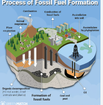 <p>A nonrenewable energy resource formed from the remains of organisms that lived long ago. Examples include oil, coal, and natural gas.</p>