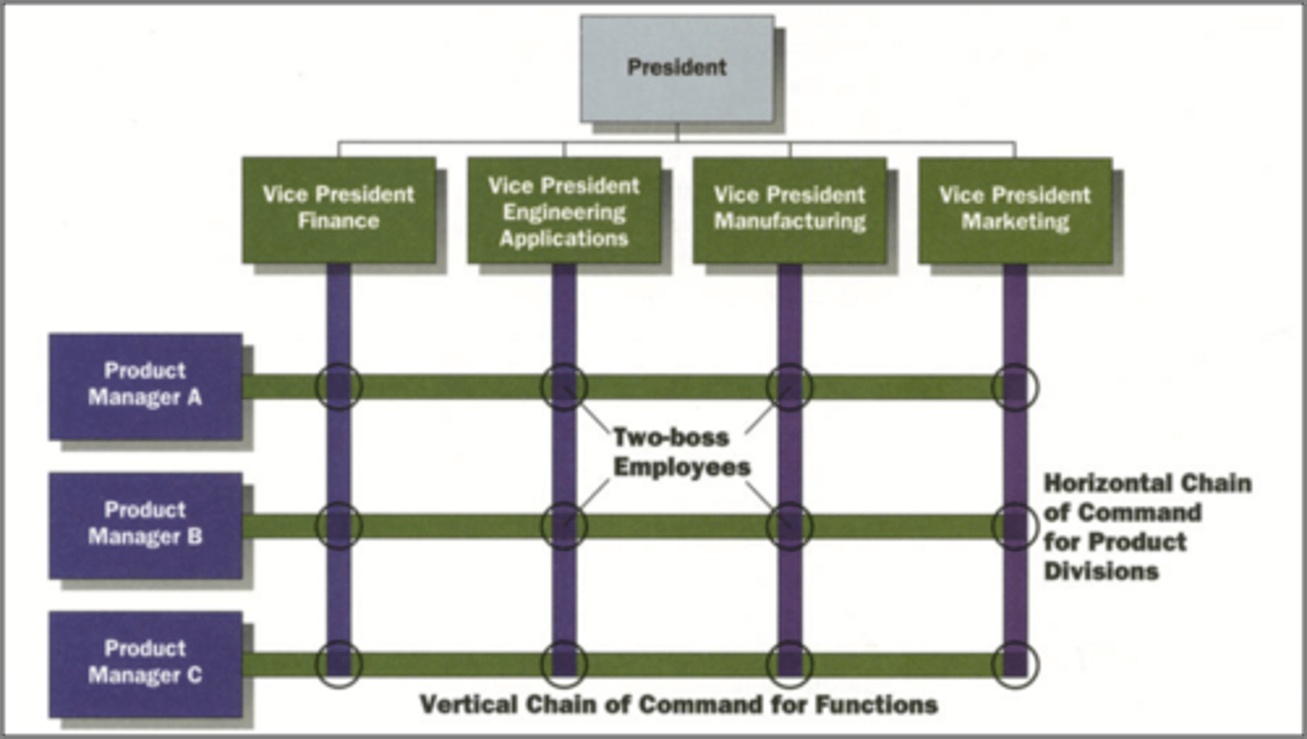 <p>combines aspects of both functional and divisional structures simultaneously, in the same part of the organization; improved coordination and information</p>