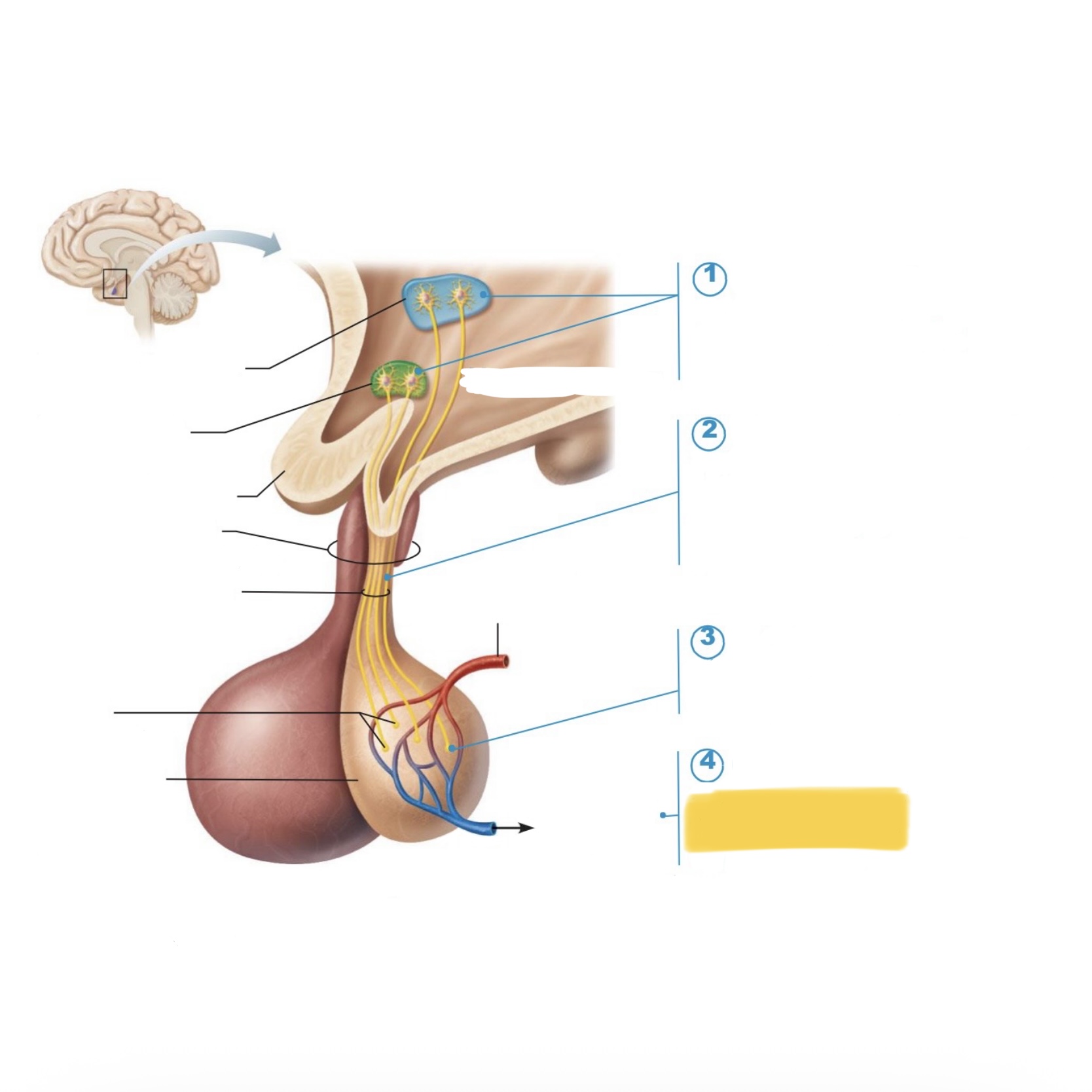 <p>What happens at this part?</p>