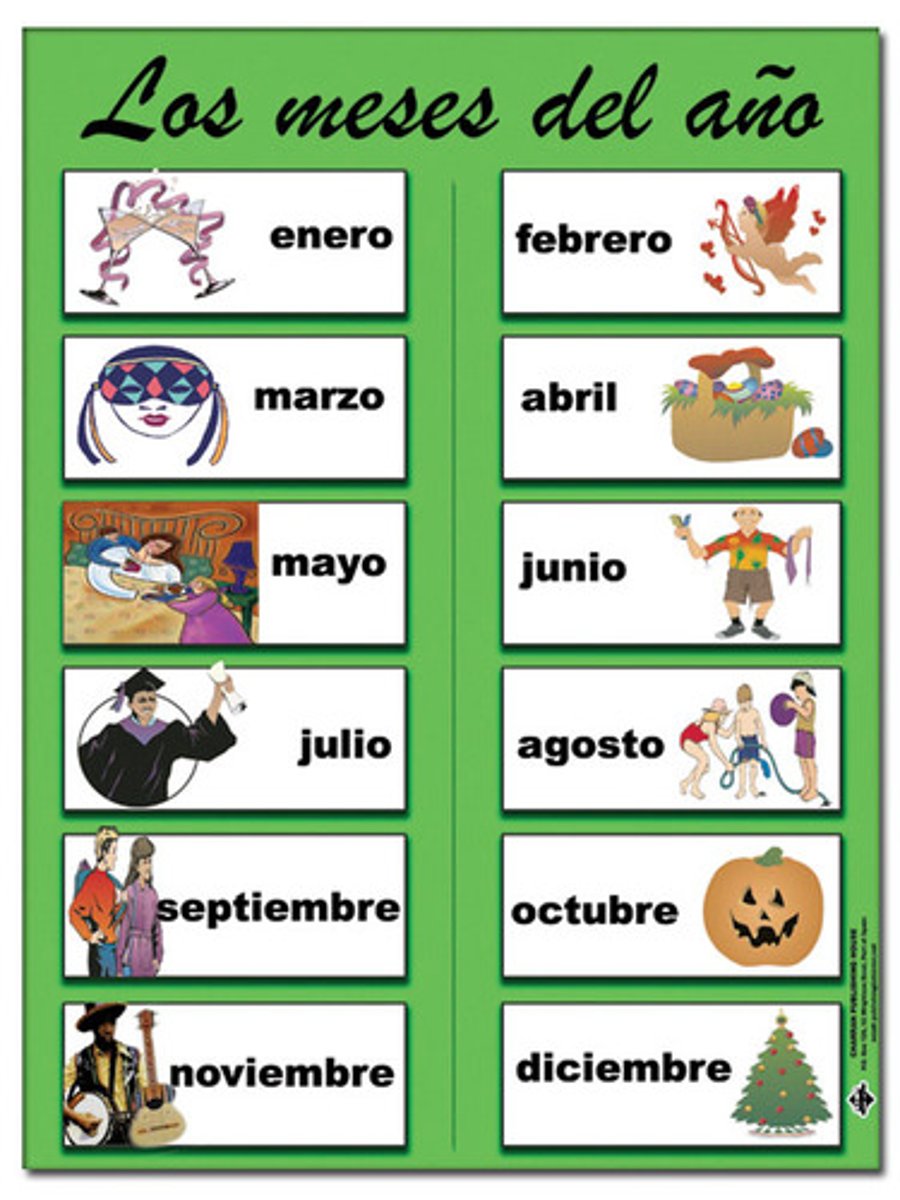 <p>The months of the year are:</p>
