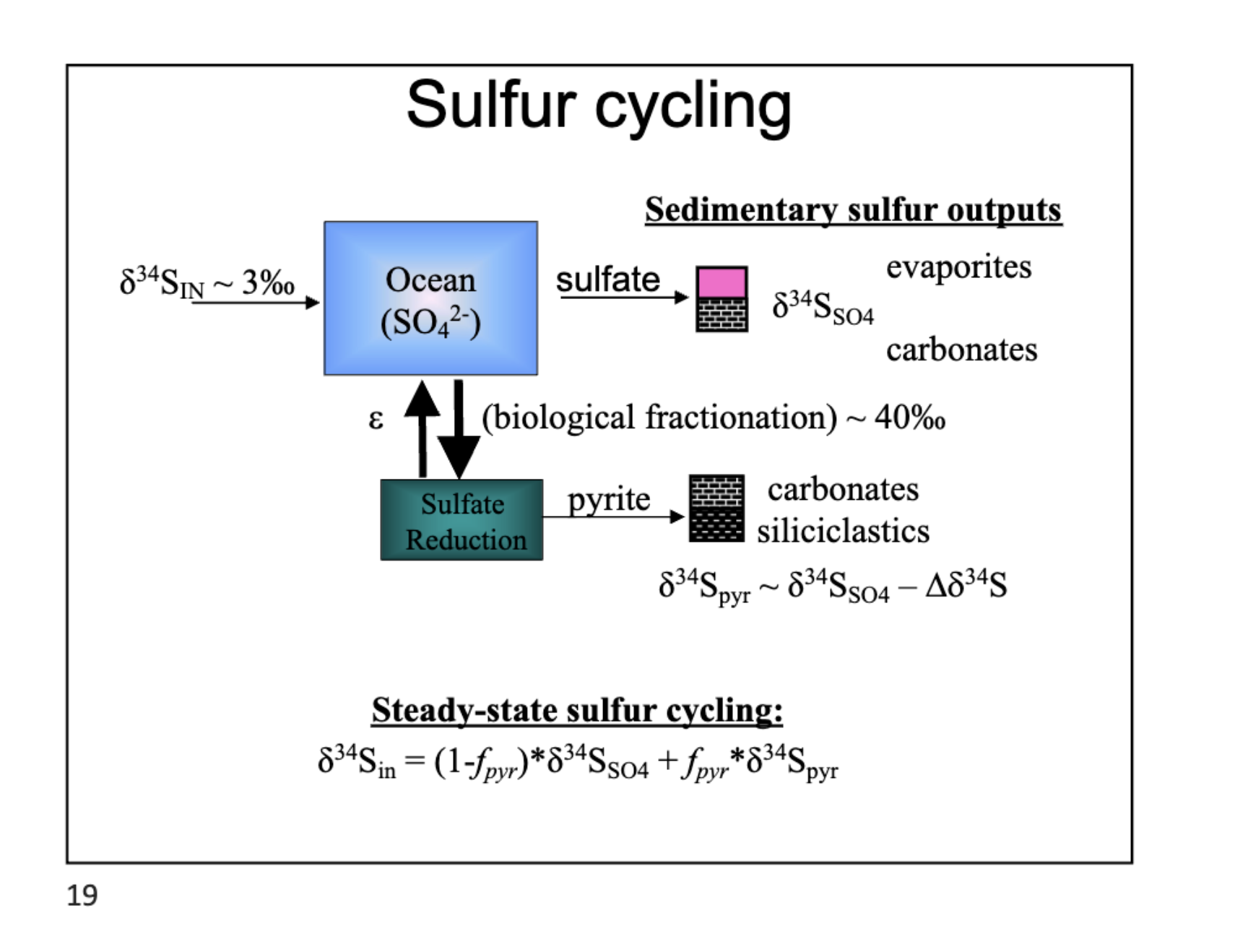 <p>34S enters in as SO4, sulfate reduction converts into pyrite and then carbonates and siliclastics come out. sulfate oxidation can cause carbonates and evaporates like gypsum.</p>
